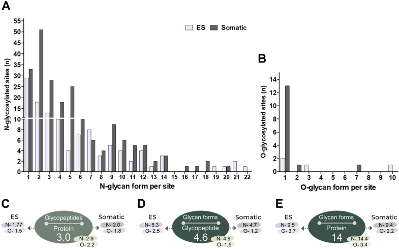 Fig. 7