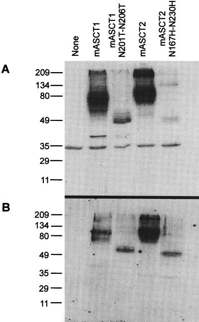 FIG. 5.