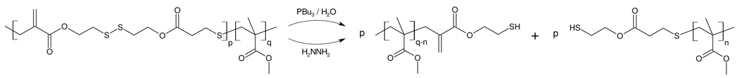 Scheme 4