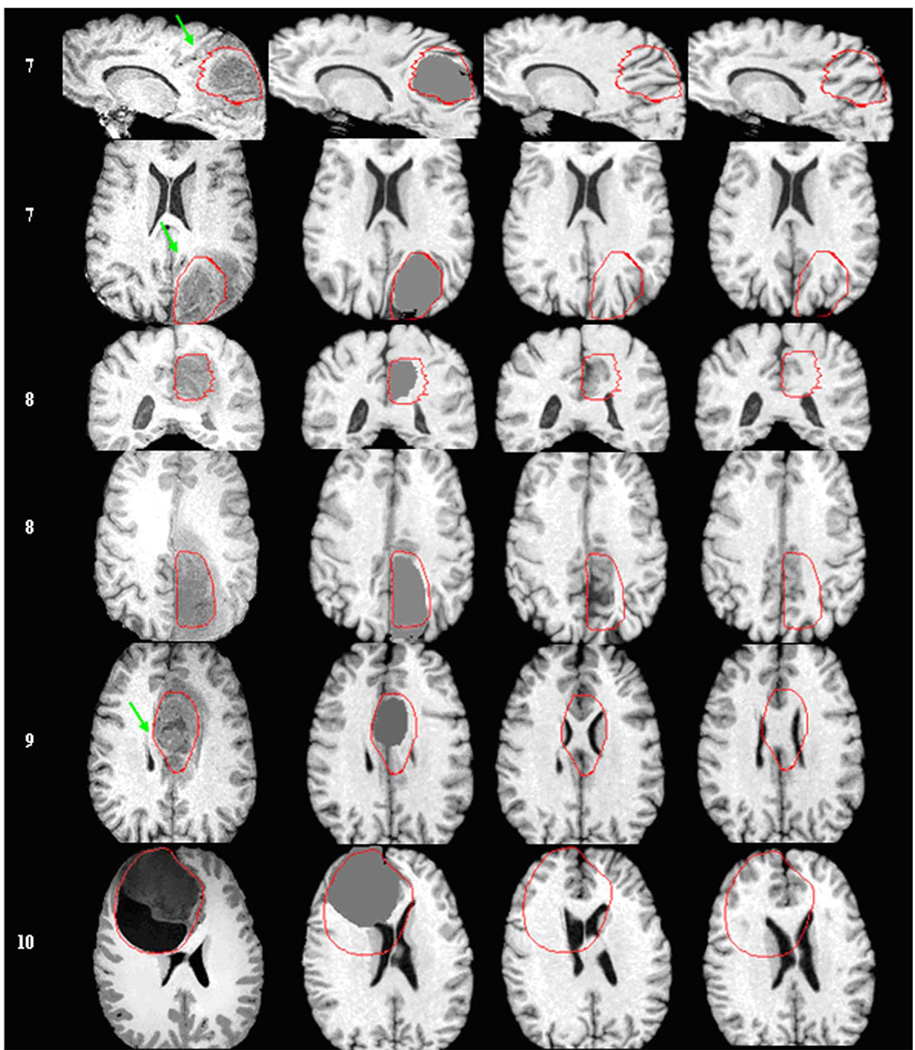 Fig. 7