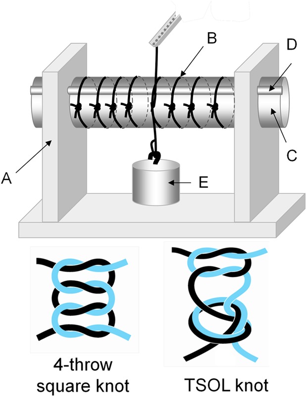 Fig. 1