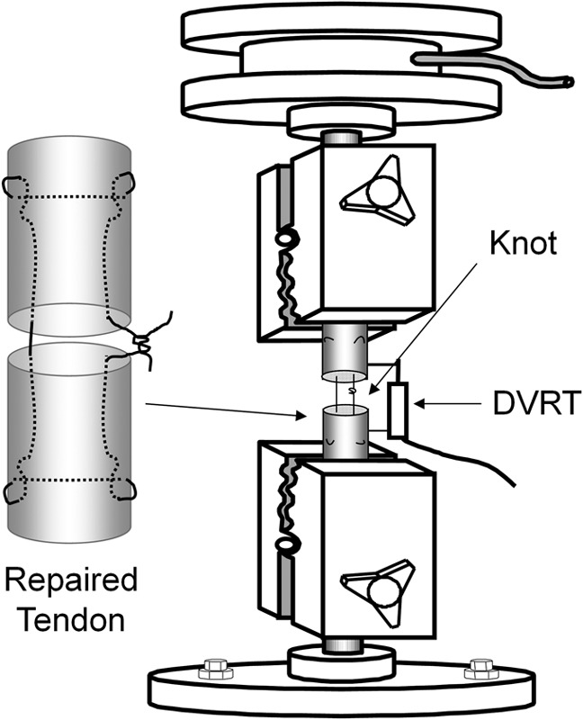 Fig. 3