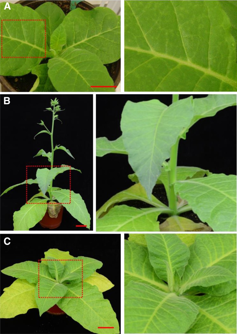 Figure 3.