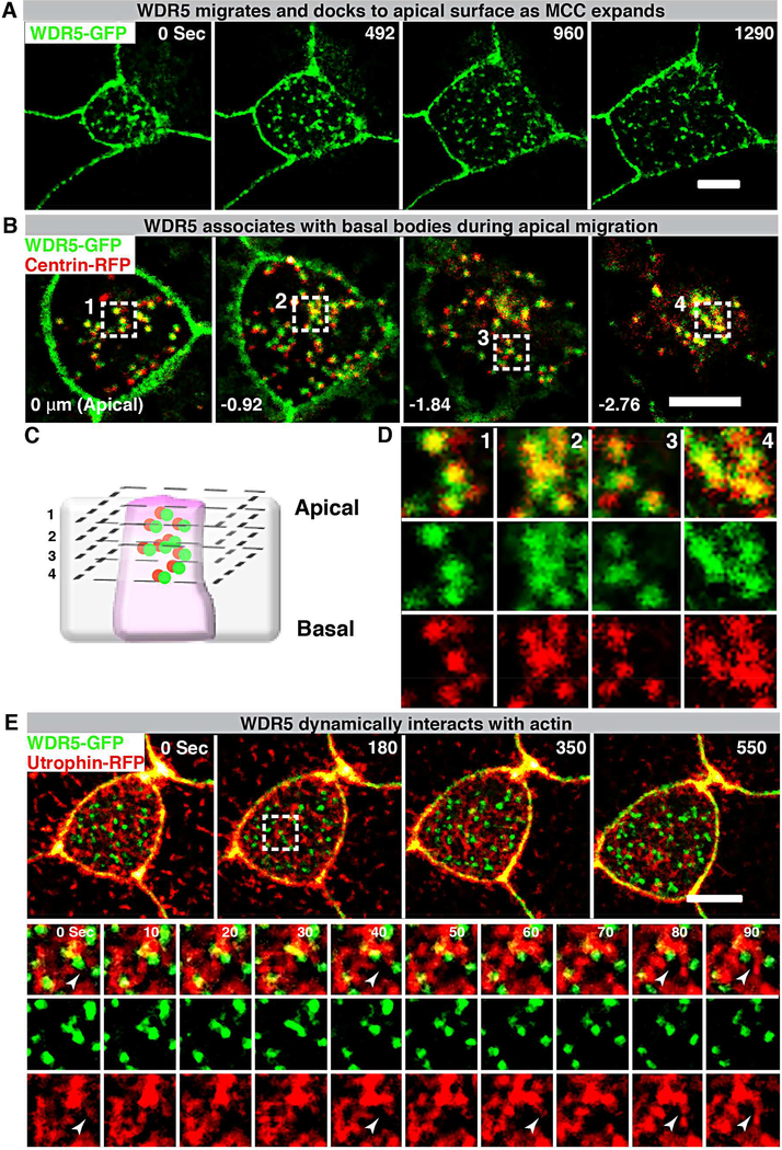 Figure 6: