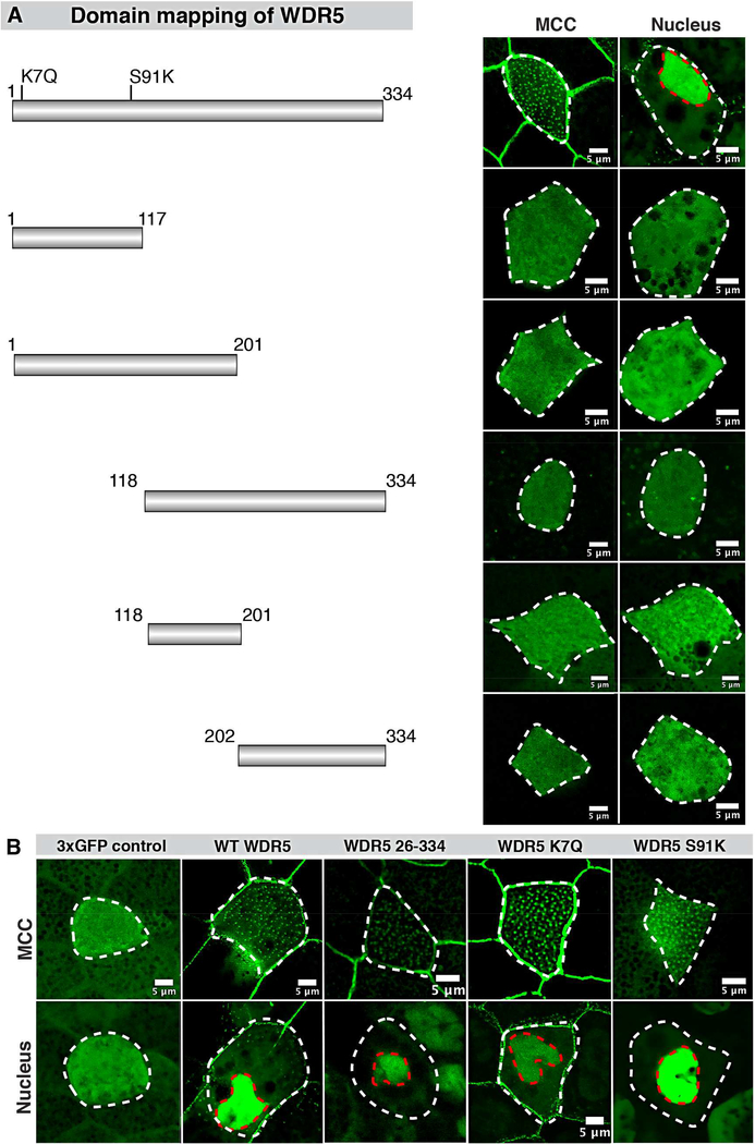 Figure 2: