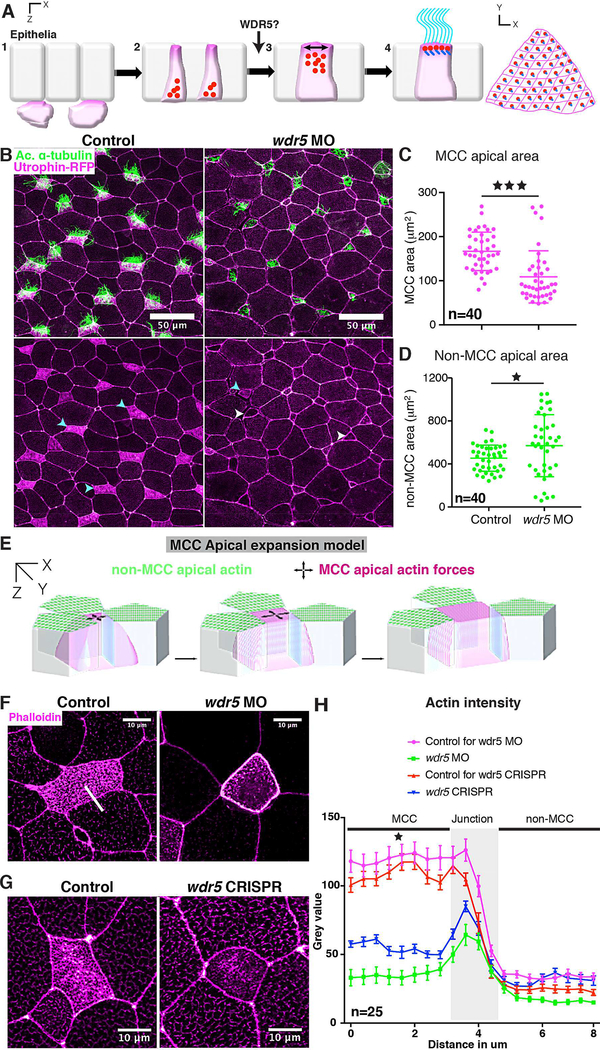 Figure 4: