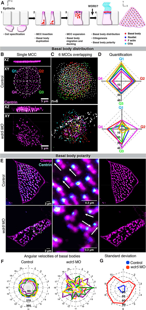 Figure 3: