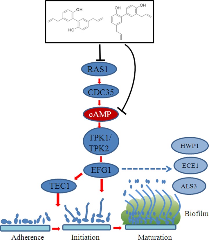 Fig 10