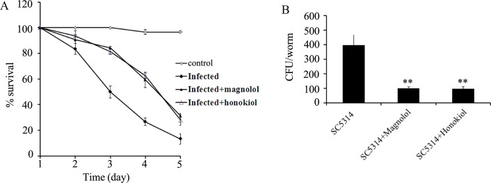 Fig 9