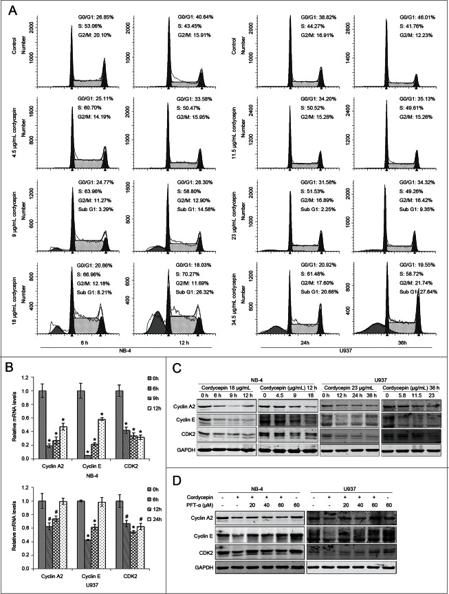 Figure 4 (See previous page).