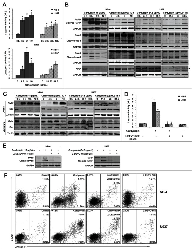 Figure 2 (See previous page).