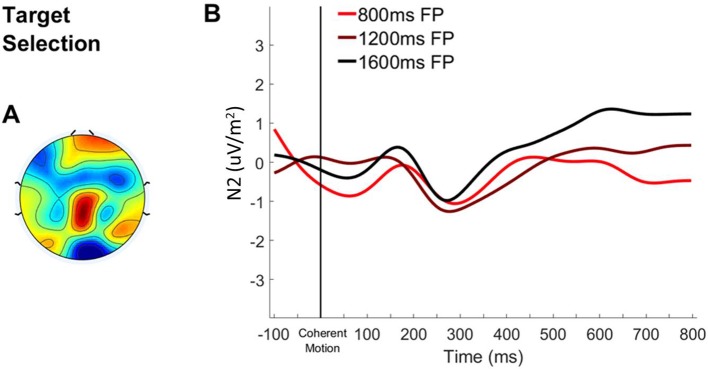 Figure 5—figure supplement 1.