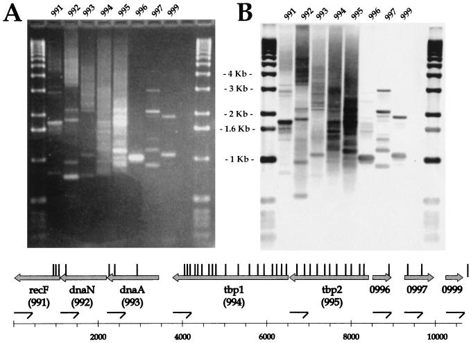 FIG. 6