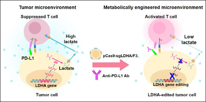 Image, graphical abstract