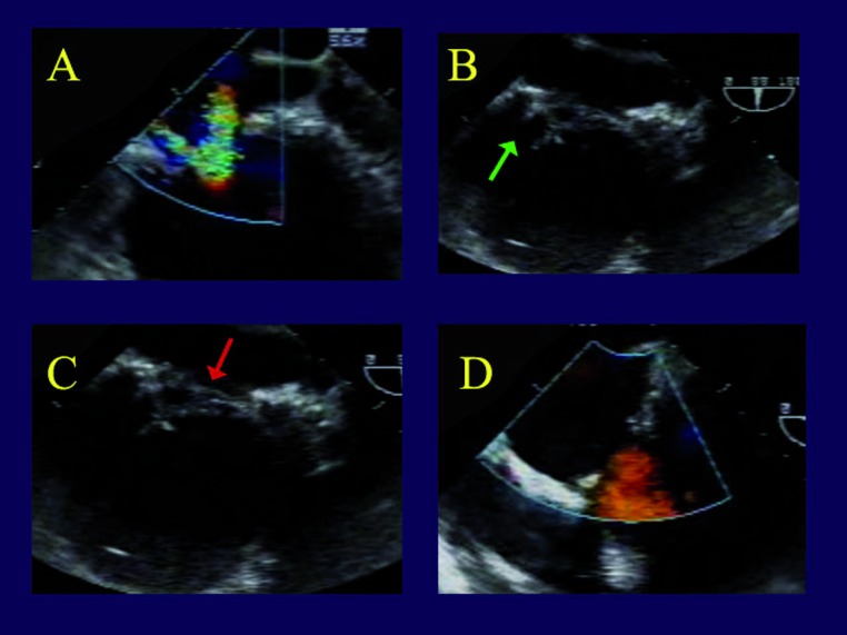 Figure 5