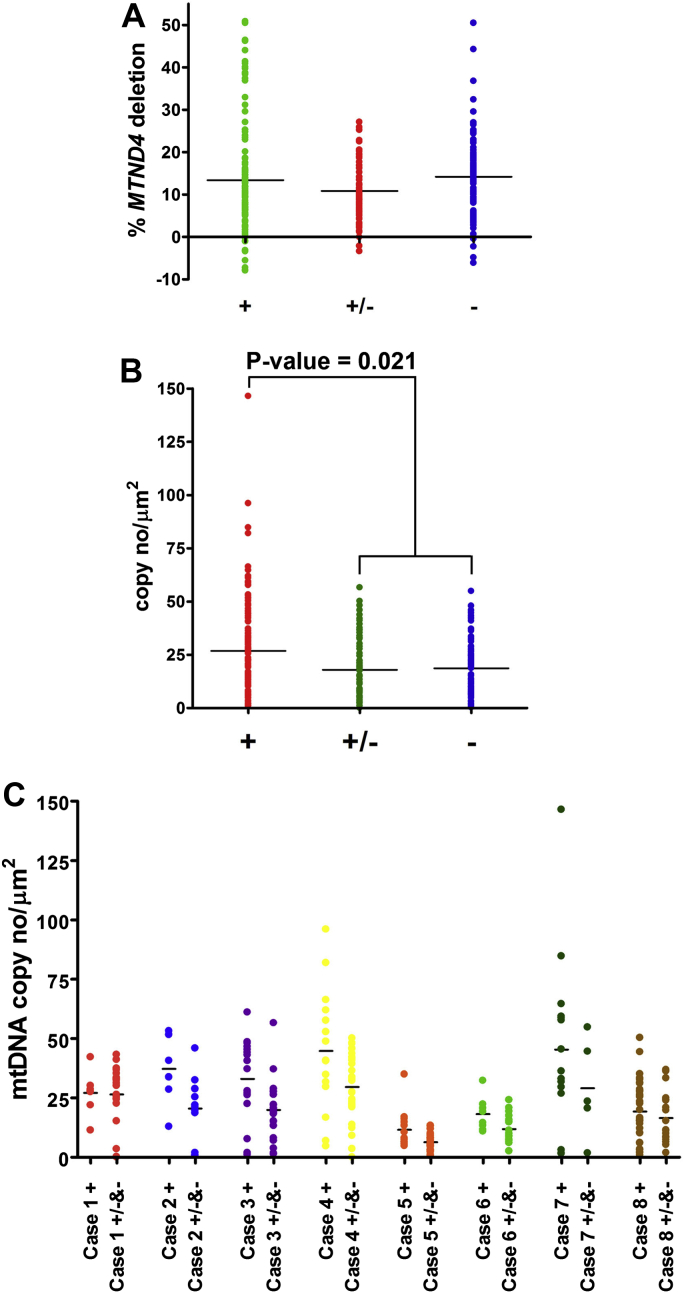 Fig. 7