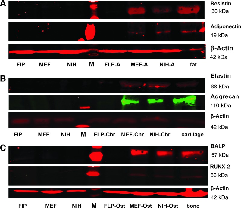 FIG. 4.