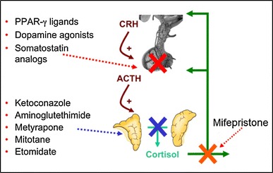 Fig. 1