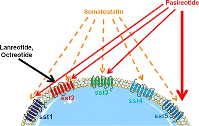 Fig. 2