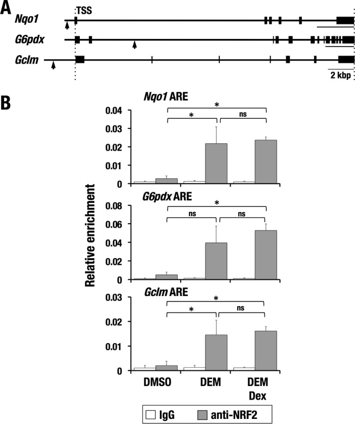 Figure 5.