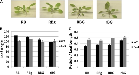 Figure 6.