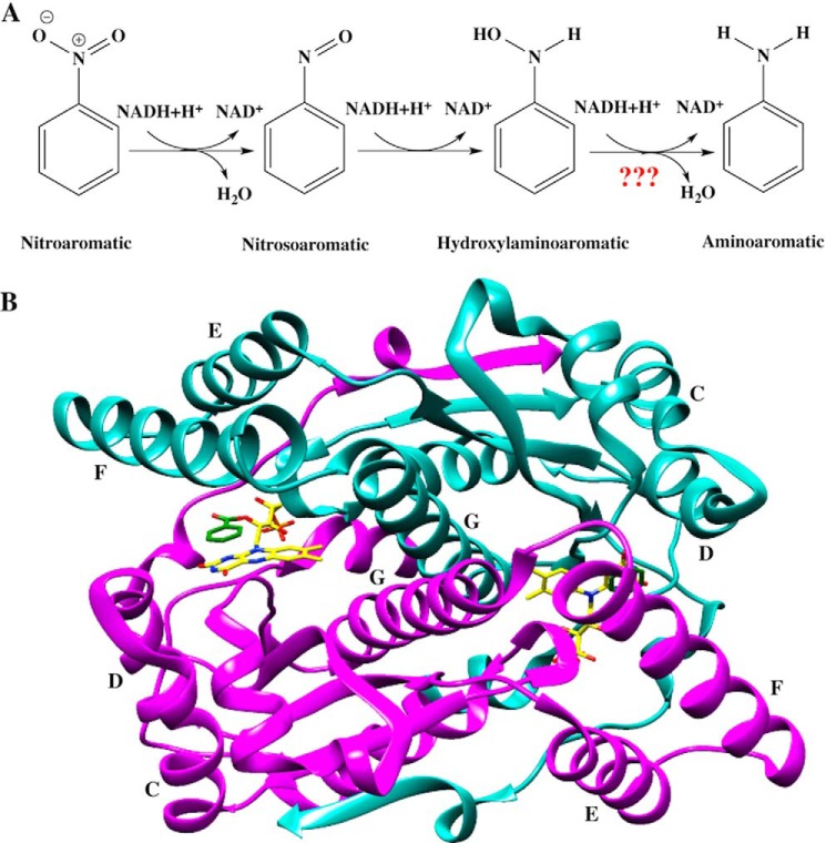 FIGURE 1.