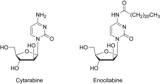 Fig. 1