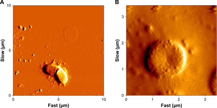 Figure 10