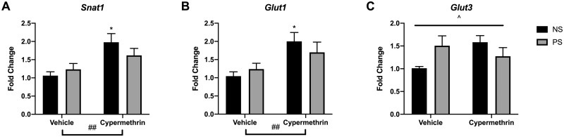 Figure 7.