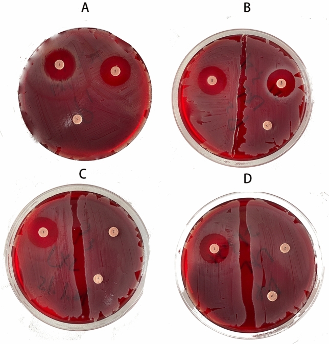 Figure 5