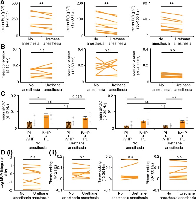 Figure 1—figure supplement 1.