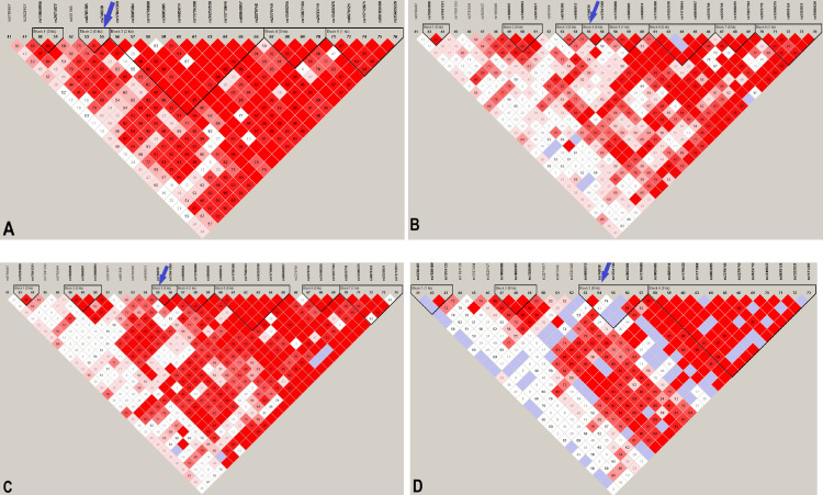 Fig 3