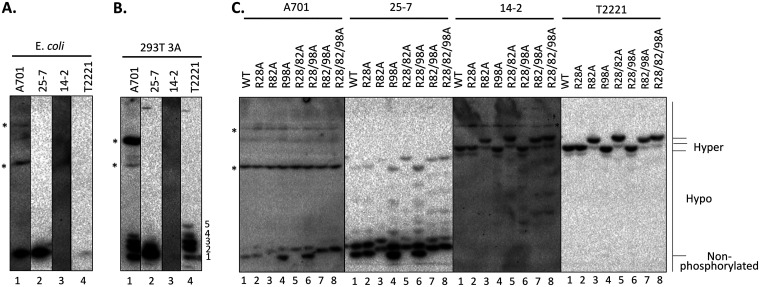 FIG 3