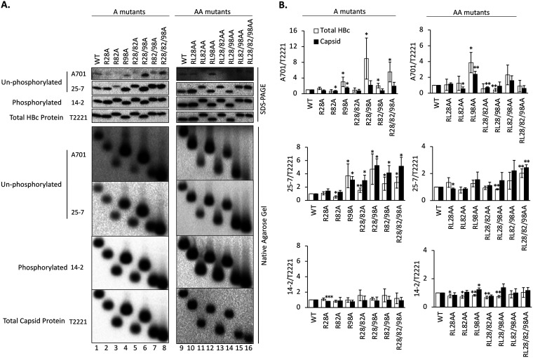 FIG 2