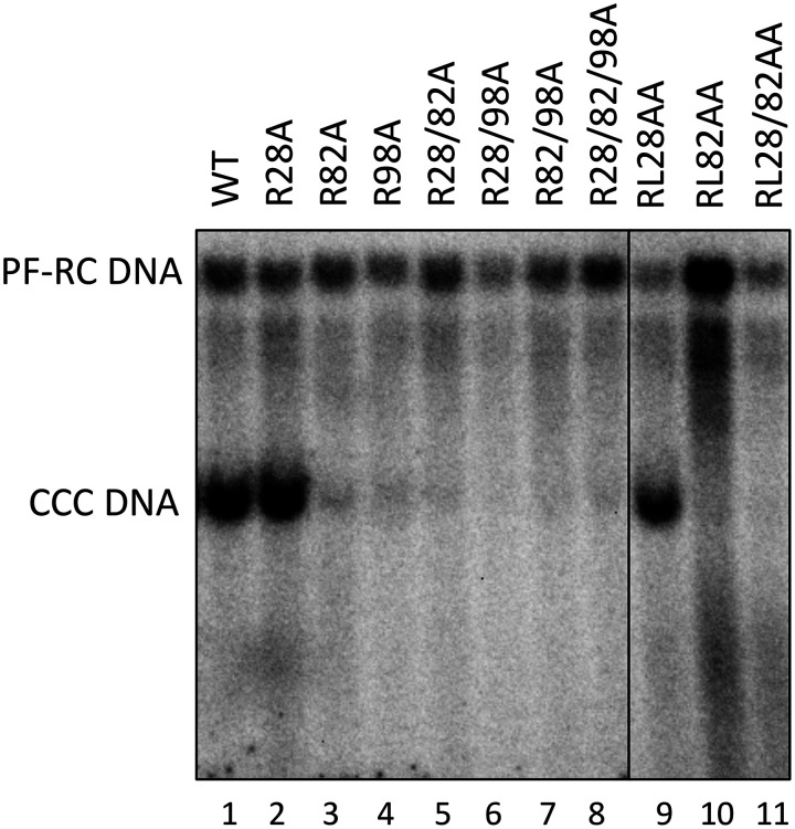 FIG 11