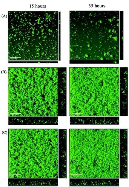 FIG. 7.