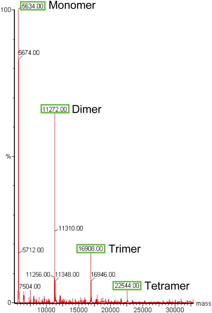 Figure 2—figure supplement 1.