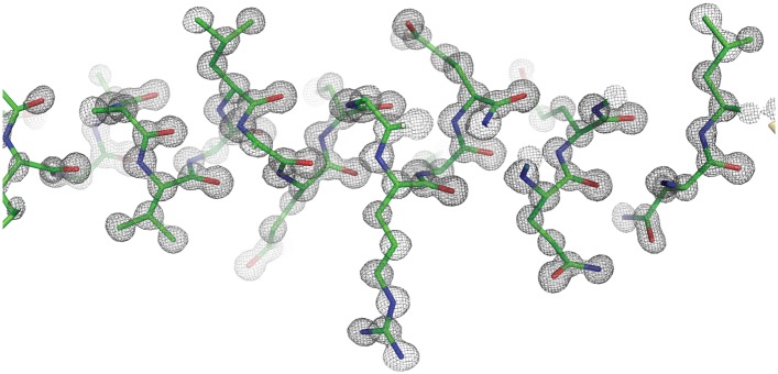 Figure 3—figure supplement 1.