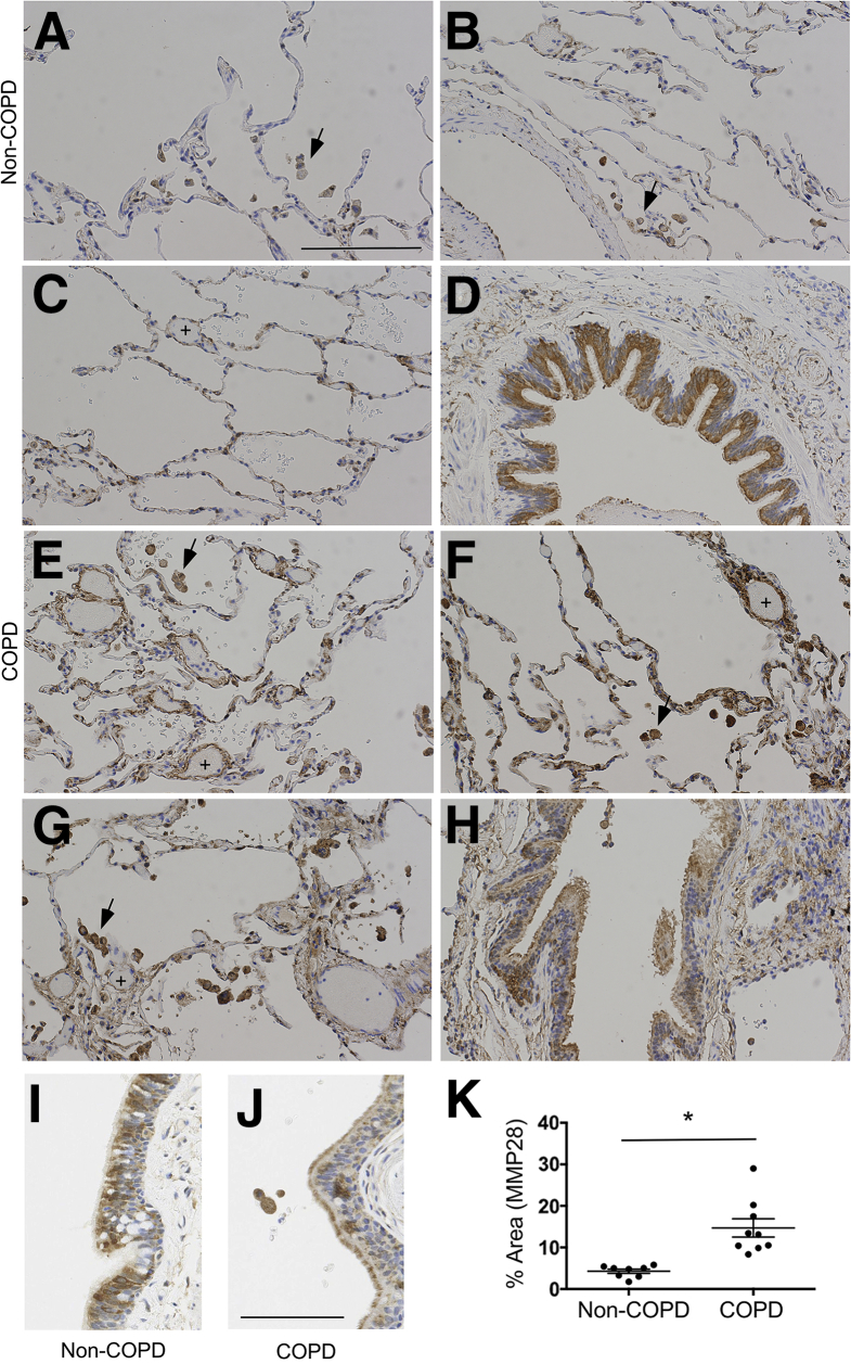 Figure 9