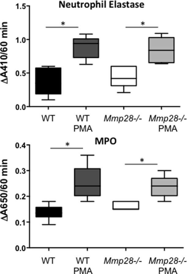 Supplemental Figure S1