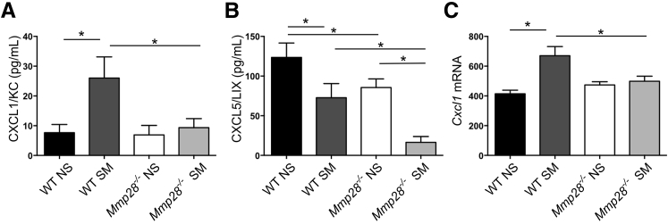 Figure 4