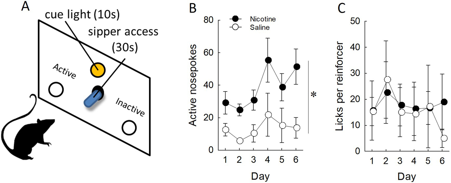 Figure 3: