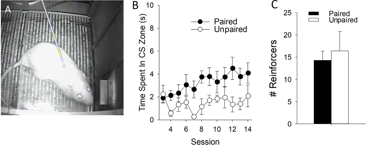 Figure 1: