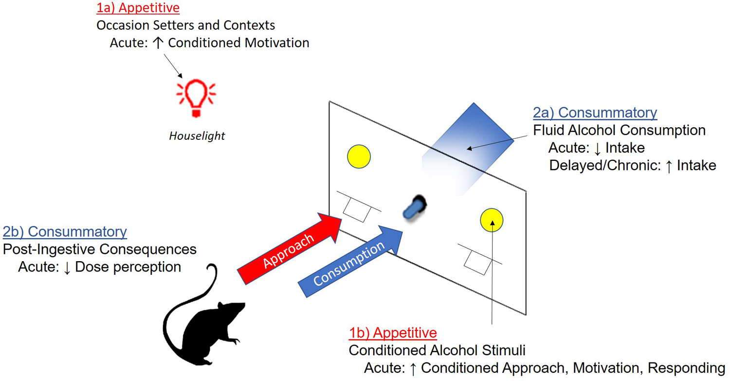 Figure 6: