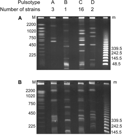 FIG. 2.