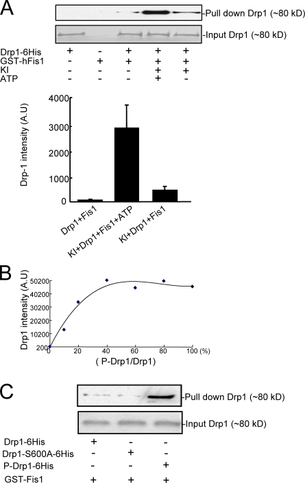 Figure 9.