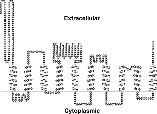 FIGURE 7.