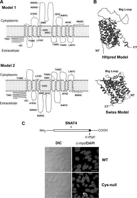 FIGURE 1.