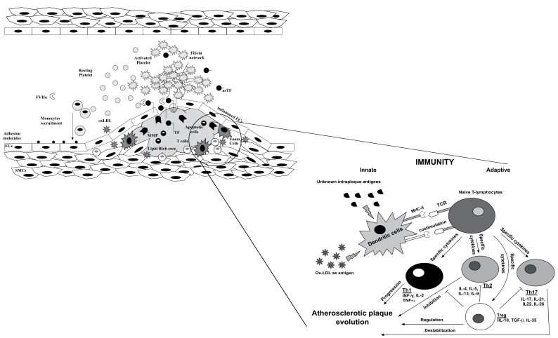 Fig. (1)