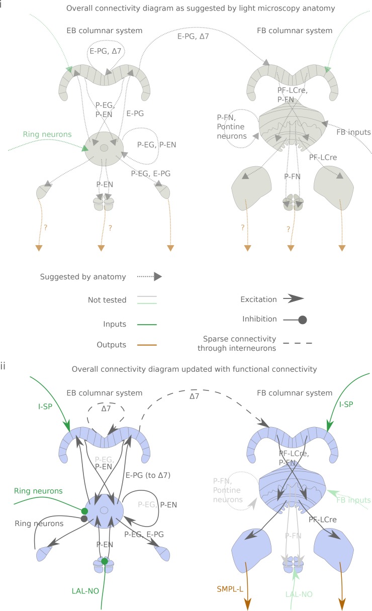 Figure 1—figure supplement 2.